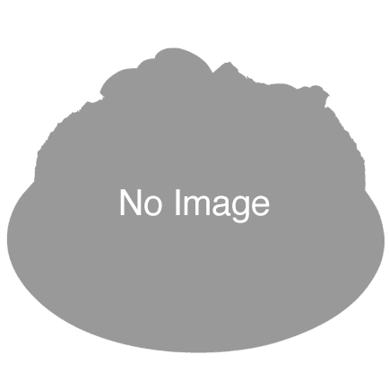 季節のホールタルト　メロン